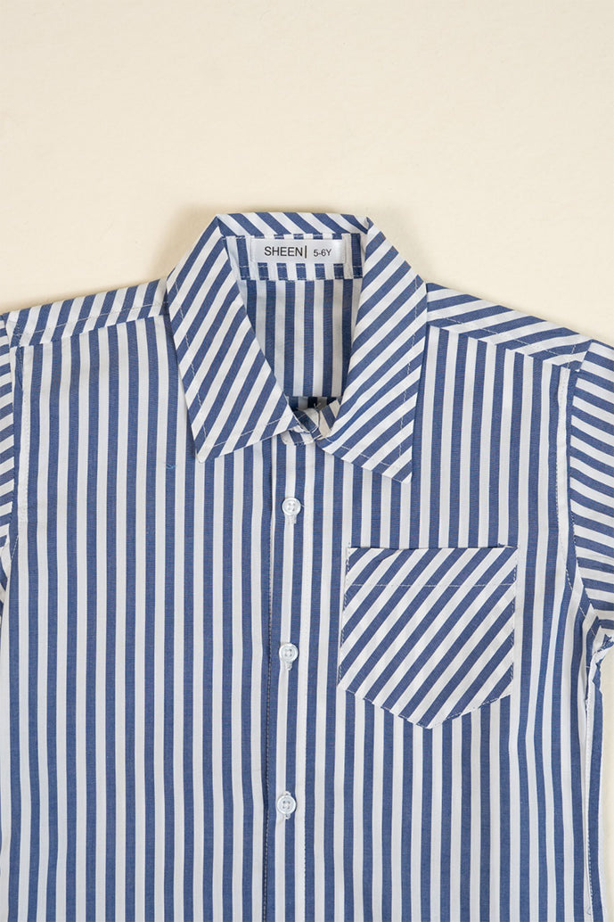 Blue And White Linning Casual Shirt